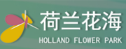 大丰荷兰花海